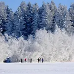 Отель Mamie 4*